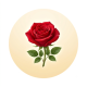 Red Rose