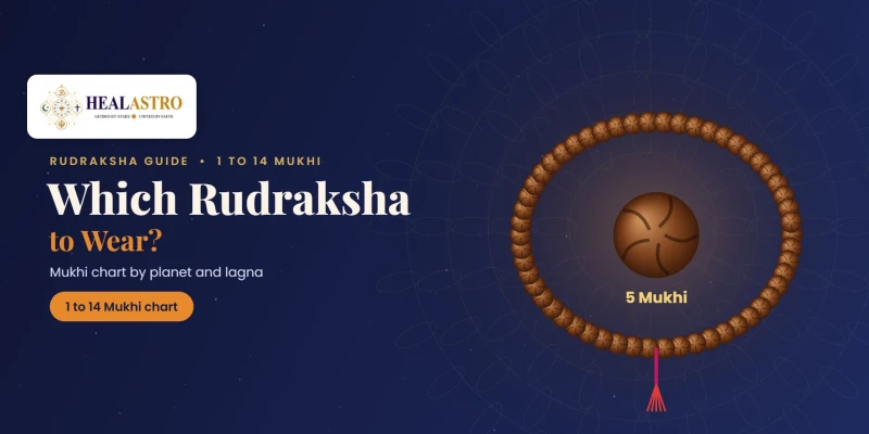 Which Rudraksha to Wear? A 1 to 14 Mukhi Guide by Planet, Purpose and Lagna
